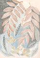 Image Not Available